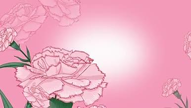 母亲节康乃馨插画舞台背景温馨花朵AE模版视频的预览图